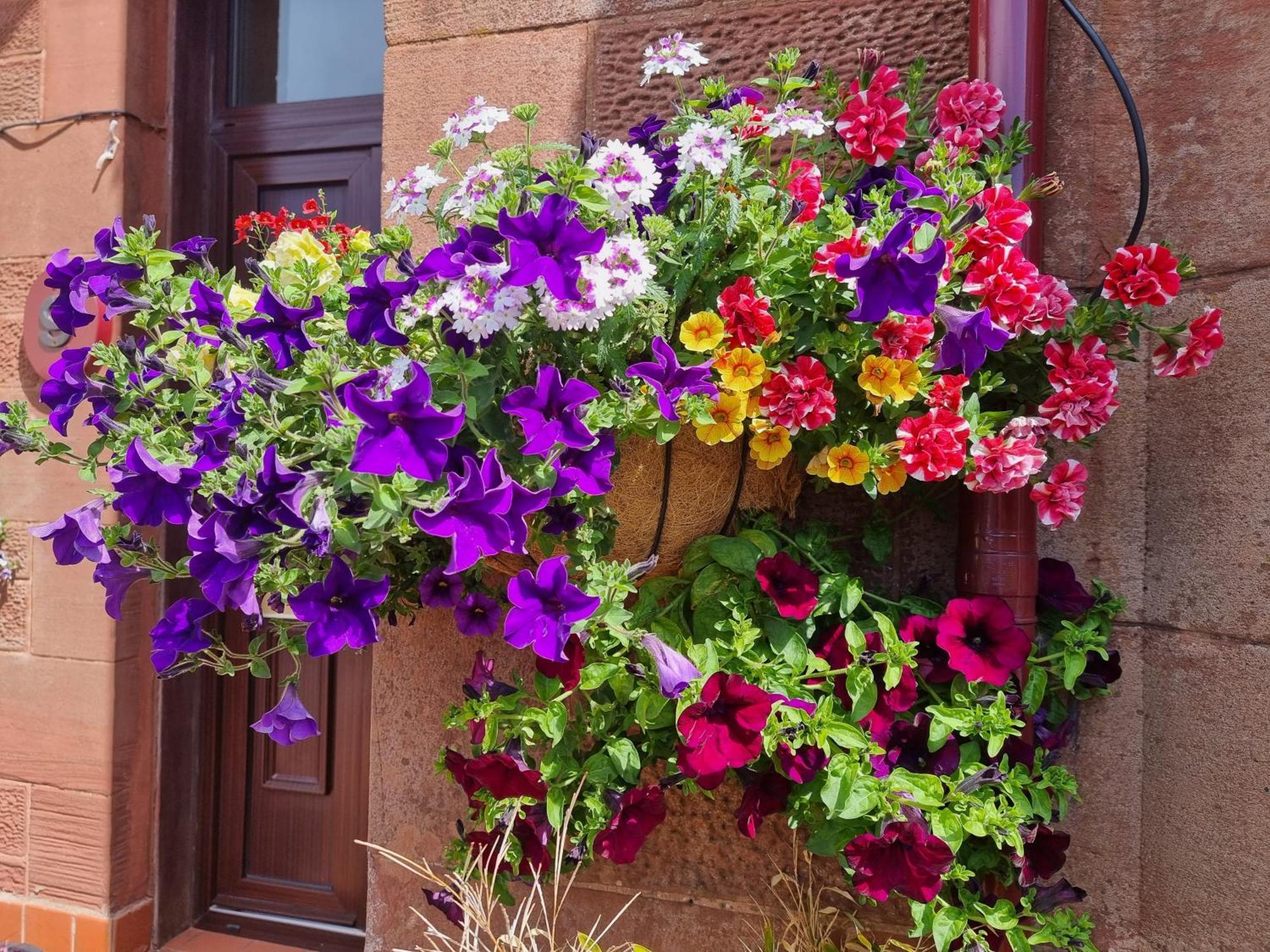 St Leonards Bed & Breakfast Largs